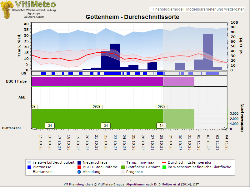 Perografik